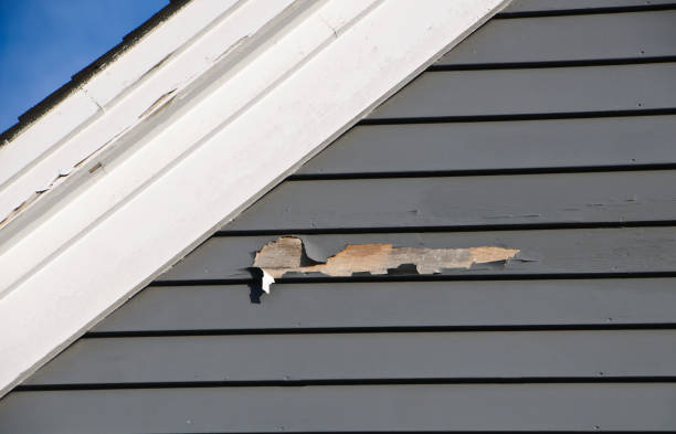 Same-Day Junk Removal Services in Washington, MO